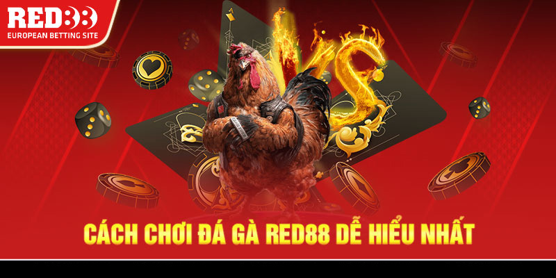 Cách chơi đá gà Red88 dễ hiểu nhất