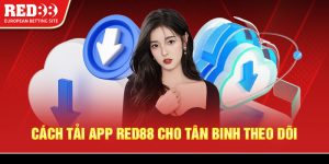 Cách tải app Red88 cho tân binh theo dõi