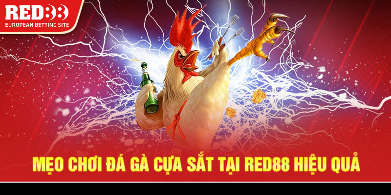 Mẹo chơi đá gà cựa sắt tại Red88 hiệu quả