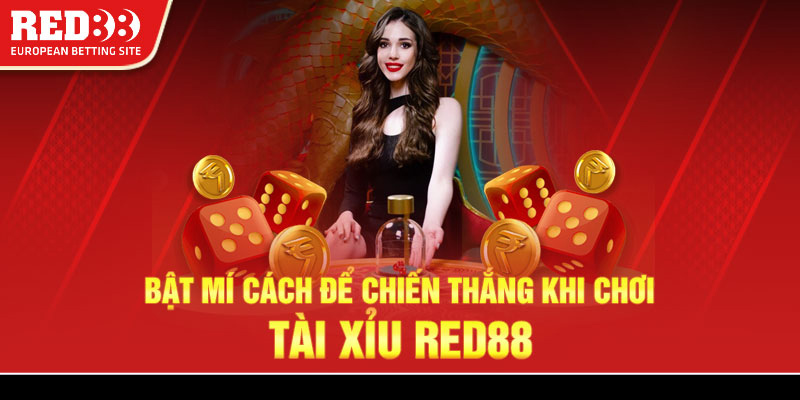 Bật mí cách để chiến thắng khi chơi Tài Xỉu Red88