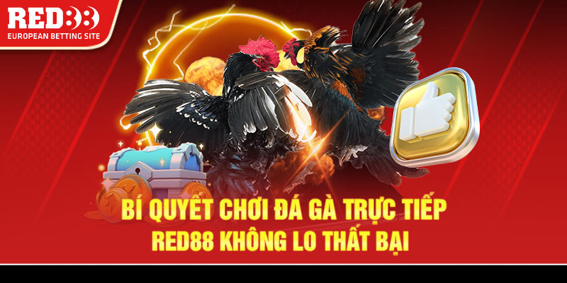 Bí quyết chơi đá gà trực tiếp Red88 không lo thất bại