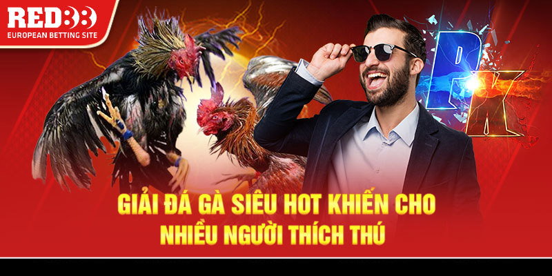 Giải đá gà siêu hot khiến cho nhiều người thích thú